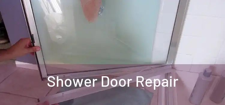  Shower Door Repair 